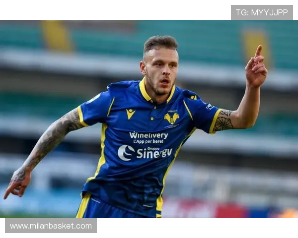 如何快速排查米兰体育app登录不上去的问题，确保顺利进入账号